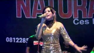 03 KELAYUNG   LAYUNG   EVA ROSALIA~1
