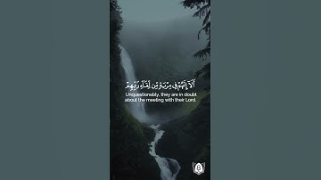 ﴿سنريهم آياتنا في الآفاق وفي أنفسهم﴾ [فصلت: ٥٣-٥٤]🎙| تلاوة بصوت: احمد مشهور