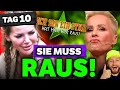 KNALLHART: Sonja Zietlow fordert Kims RAUSWURF! Mike blockt Kim endgültig! Dschungelcamp 2024 Tag 10