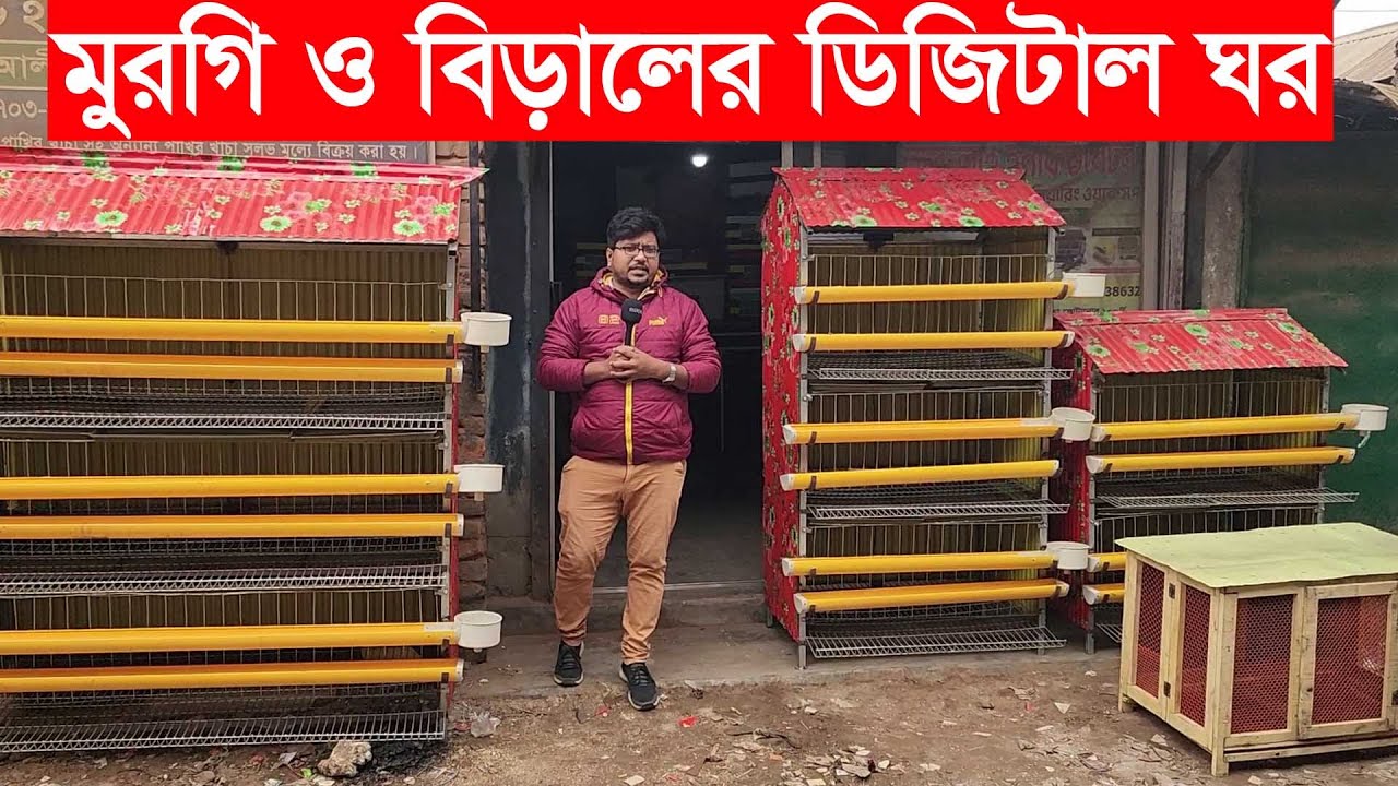 ডিজিটাল মুরগি ও বিড়ালের ঘরের দাম জানুন Khamar BD Official