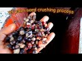 PROSES PEMECAHAN KARNEL INTI SAWIT