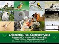 Calendario ANAPRI de Aves de Colmenar Viejo 2022