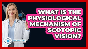 What Is The Physiological Mechanism Of Scotopic Vision?