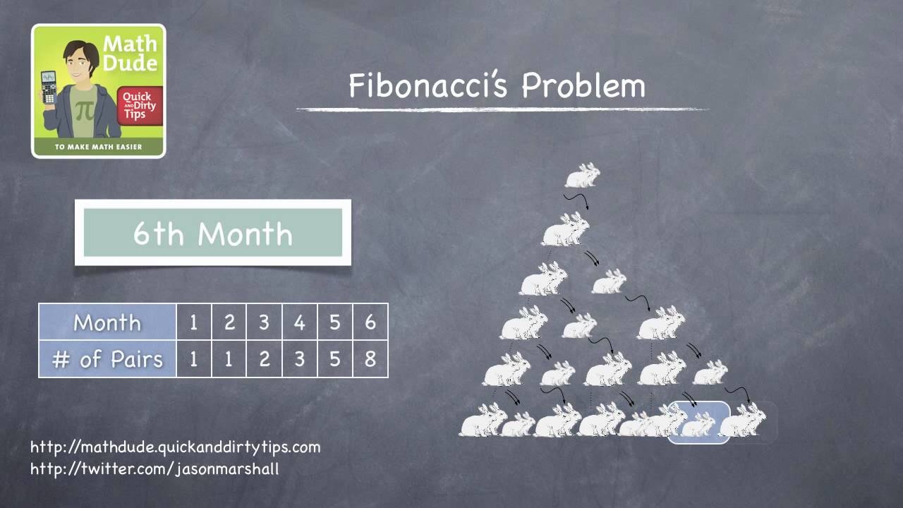 Math Dude 016 Video Extra The Fibonacci Sequence And Rabbits