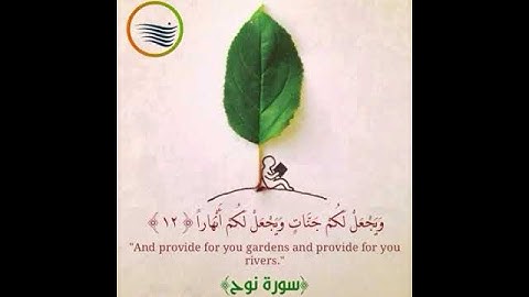 تلاوة يملؤها الخشوع و الجمال(1)