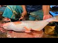 Amazing Huge Pangas Fish Cutting Skills In Bangladesh Fish Market By Expert Cutter