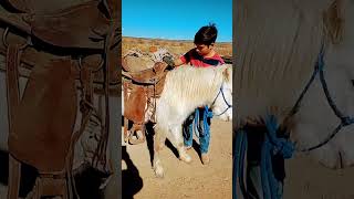 #pony #family #smallranch #farm #ranch #horse #workpony #workhorse