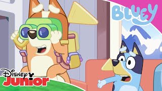 💙 Time to climb the mountain | Bluey | Disney Junior Africa