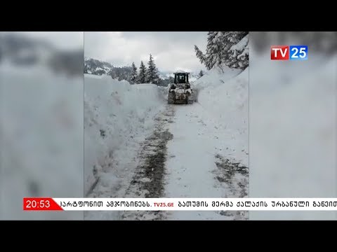 დიდთოვლობით გამოწვეულ პრობლემები მაღალმთიან აჭარაში