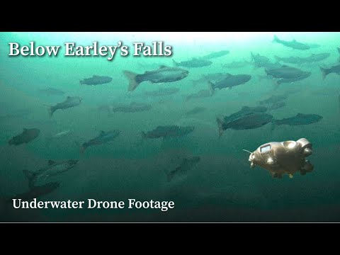 Underwater Drone Footage Below Earley’s Falls