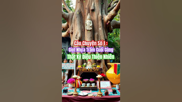 Câu Chuyện Số 1: Giọt Nhựa Trầm Cuối Cùng, Điều Kỳ Diệu Của Thiên Nhiên