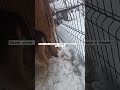 Большая часть старички и инвалиды 🙏🏼Буду благодарна за любую помощь! +79278920802