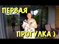 РАЗУКРАСИЛ. ОБШИЛ. ПЕРВАЯ ПРОГУЛКА.