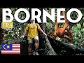 THIS IS WHY I Came To BORNEO 🇲🇾 Malaysia (Bucket List Experience)