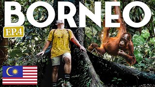 THIS IS WHY I Came To BORNEO 🇲🇾 Malaysia (Bucket List Experience)