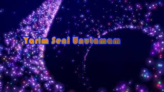 Bergen - Yarim Seni Unutamam Karaoke