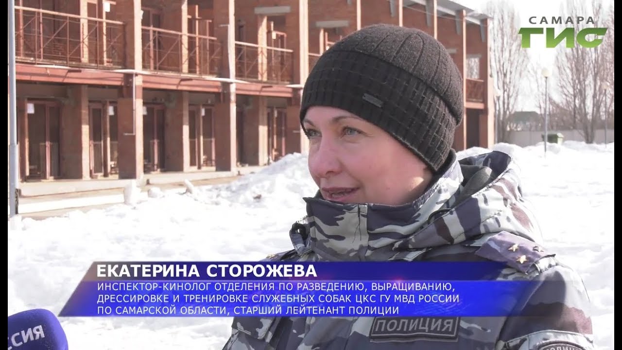 Кинологическая машина полиции