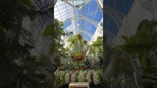 The Gilded Age Conservatory Of Biltmore Estate #history #greenhouse