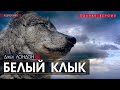 Белый Клык - Джек Лондон (читает Николай Козий) | аудиокнига