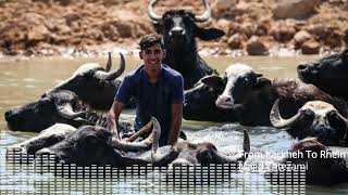 From Karkheh To Rhein - Majid Entezami Resimi