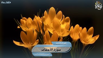 سورة الأحقاف تلاوة الشيخ عبد الباسط عبد الصمد رحمه الله تعالى