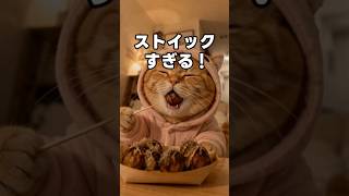 みんな、これもストイックだと思う？ #猫動画 #かしわねこ #猫のいる暮らし #元気になる動画 #かわいい #好きな子猫 #猫好きさんと繋がりたい #癒やし #cute #元気お届け #cat