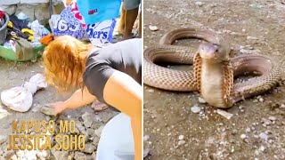Cobra na tumuklaw sa isang lalaki, sinaktan at sinunog?! | Kapuso Mo, Jessica Soho
