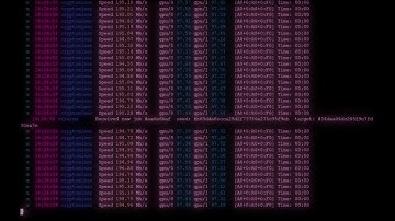 Cool-Retro-Term Profile -- Vercetti & Vance (PinkNeon)