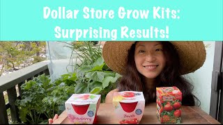 Shin's Greens: Dollar Store Grow Kits   Do they work?? Surprising results