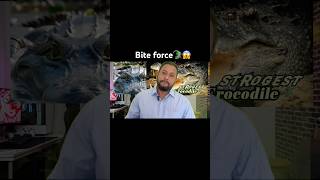 Bite force alligator vs crocodile 🐊 #facts #shorts #video