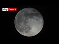 'Water traps' found on moon's surface