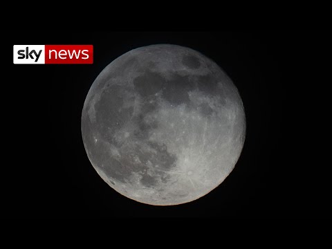 'Water traps' found on moon's surface