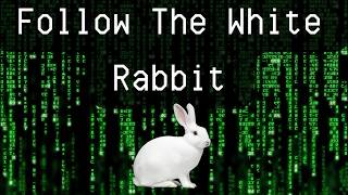 The BTC Cycle Is Repeating 💊 You NEED To See This 🐇