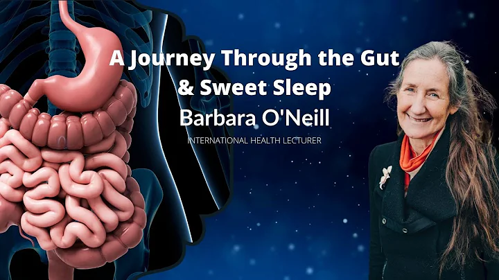 A Journey Through The Gut & Sweet Sleep - Barbara ...