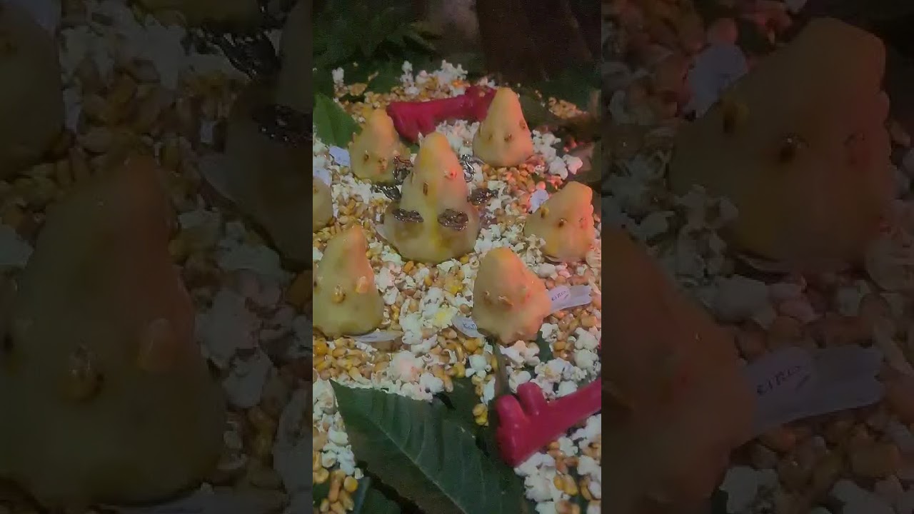 Ritual De Proteção