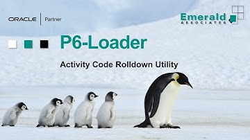 Activity Code Rolldowns in Primavera P6 Using the P6-Loader