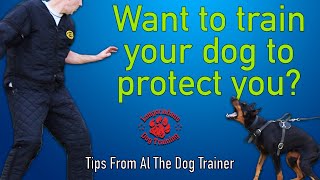 How To Train Your Dog To Protect You  Tips From Al The Dog Trainer
