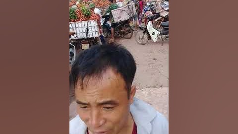 Lục ngạn quê hương tôi mùa vải chín 2019