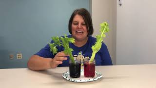 Blow Off Some Steam: Color Changing Celery