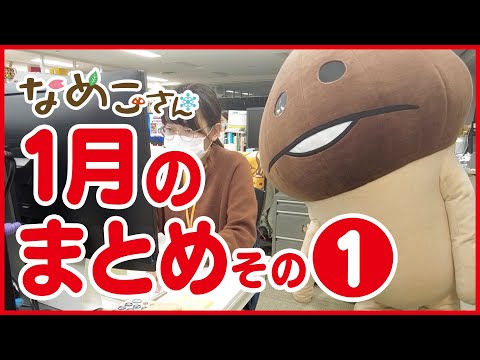 【日常】なめこさん 2021年1月のまとめ その1