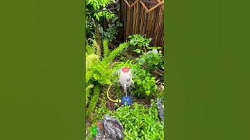 Vật tư nông nghiệp công nghệ cao, Thế giới máy nông nghiệp