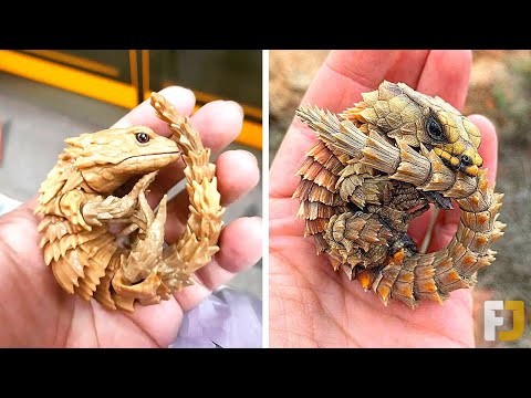 12 RARE Exotic Reptiles You&rsquo;ve Never Seen