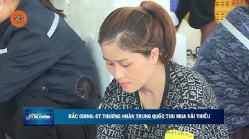 BẮC GIANG: 67 THƯƠNG NHÂN TRUNG QUỐC THU MUA VẢI THIỀU | VTV5