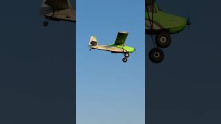 Best RC Bush Plane Of 2025