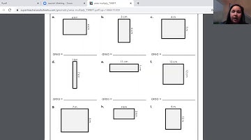 Chapter 13 Lesson 2 Mini Lesson