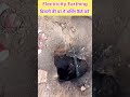 घर में Earthing कैसे करें? | Proper Earthing Method Step by Step ⚡ #electrical