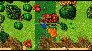 Tibia Pk Askara