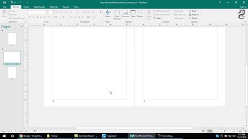 Starting Page Numbering on Page 2 in Publisher