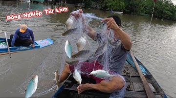 Thả Lưới 7 Phân Dính Cá HÃI HÙNG Gặp Đồng Nghiệp Vui Tánh. 7cm Net Caught Fish, Horrifying