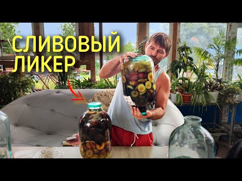 Сливовый ликер, ратафия